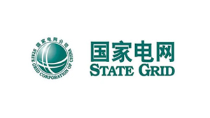 国度电网